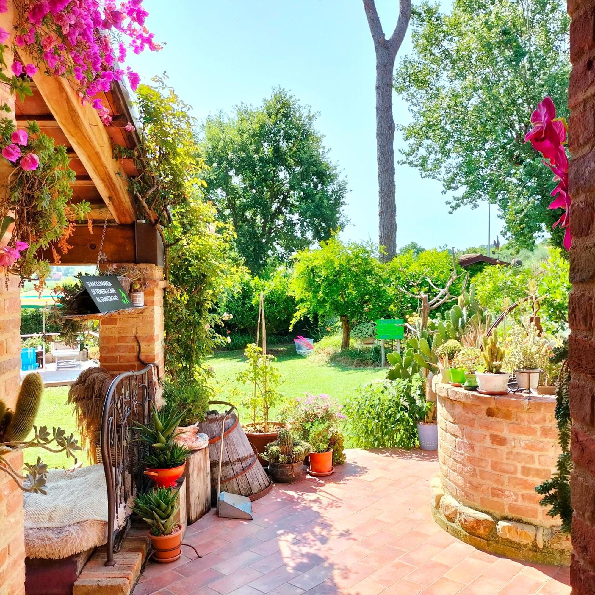 Ca' Dei Gelsi B & B Coriano Ngoại thất bức ảnh