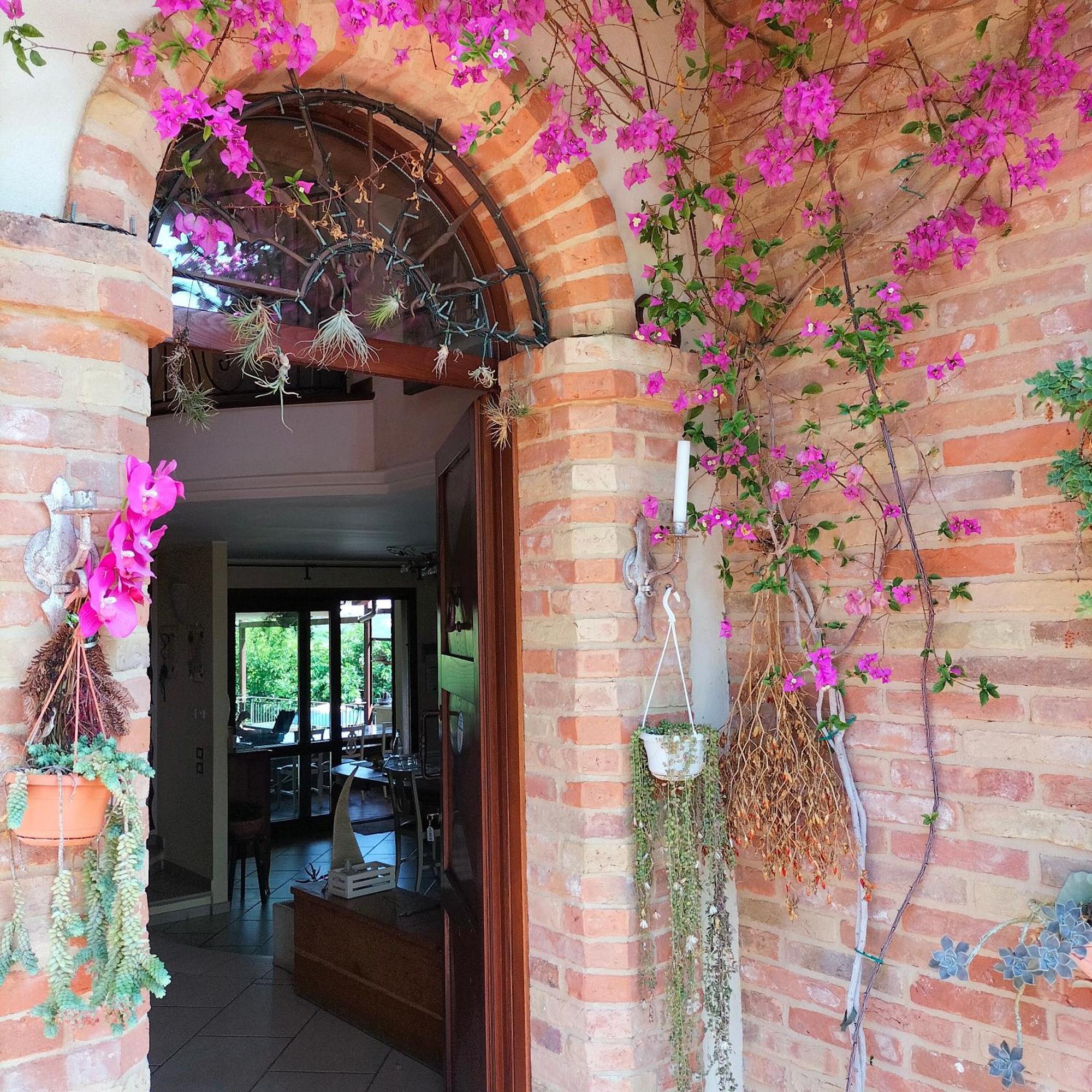 Ca' Dei Gelsi B & B Coriano Ngoại thất bức ảnh